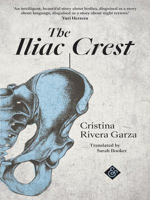 cover image of The Iliac Crest